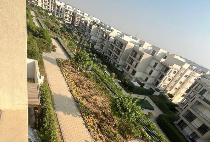 8218512 - Property Image 3