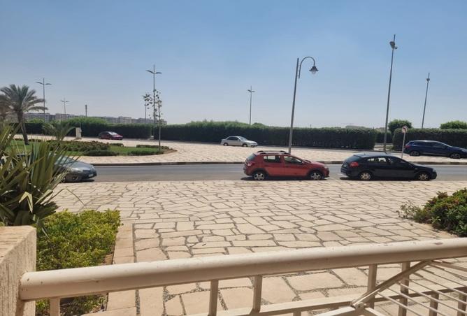 8066560 - Property Image 3