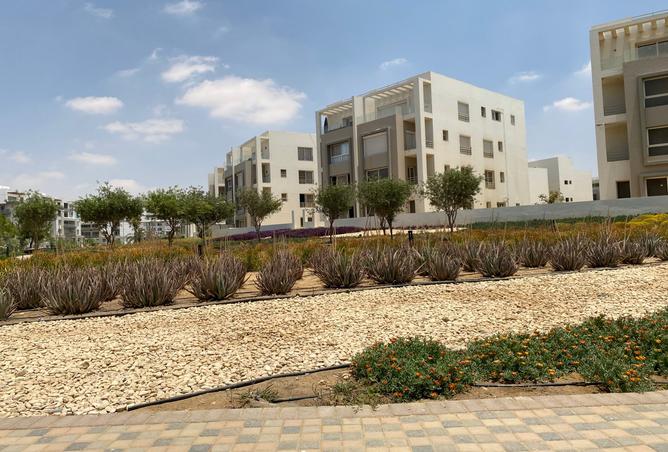 7989724 - Property Image 2