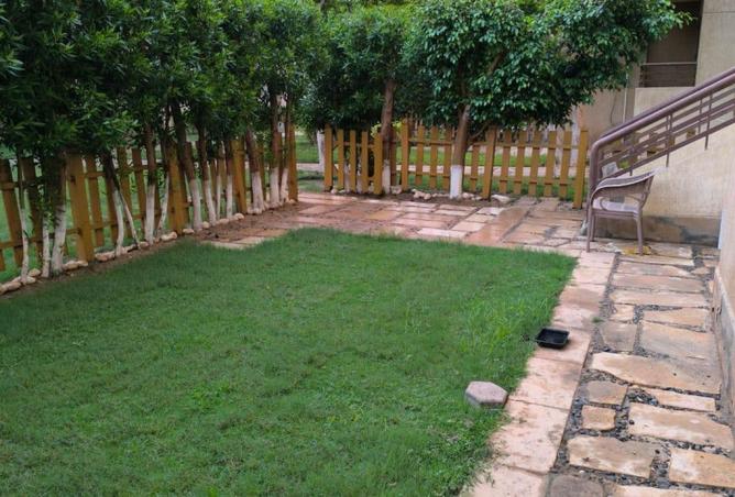 8167347 - Property Image 2