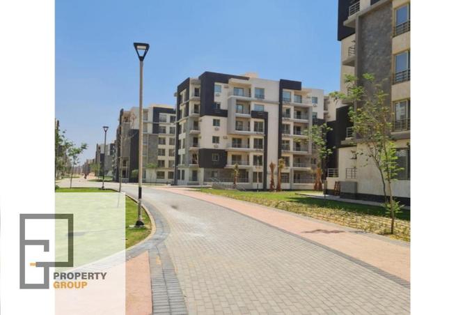 8233829 - صورة العقار 3