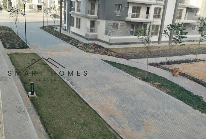 8410326 - Property Image 3