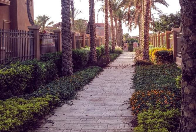 7993961 - صورة العقار 3