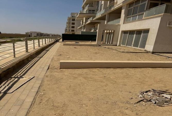 8415371 - Property Image 3