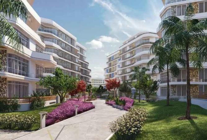 8215308 - Property Image 3