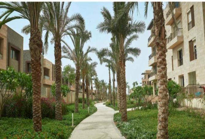 8083853 - Property Image 3