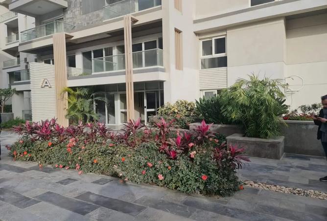8009570 - الصورة الرئيسية للعقار