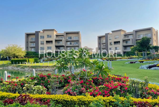 8072097 - Property Image 3