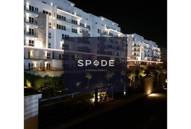 8377380 - Property Image 2