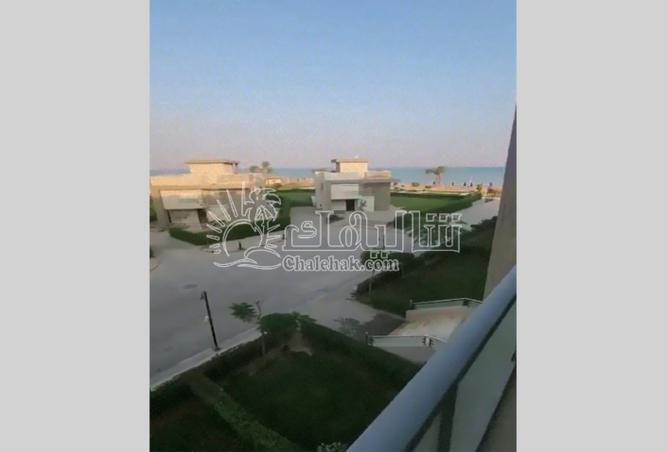 8201905 - صورة العقار 3