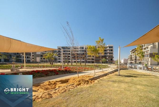 8211195 - Property Image 3