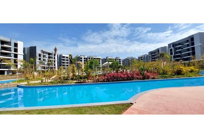 8006608 - Property Image 3