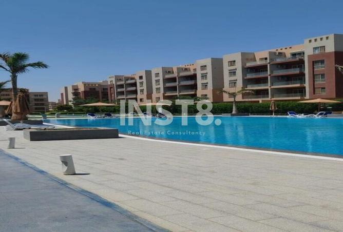 8033836 - Property Image 3