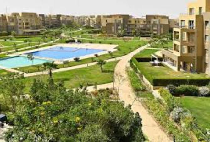 8117806 - صورة العقار 3