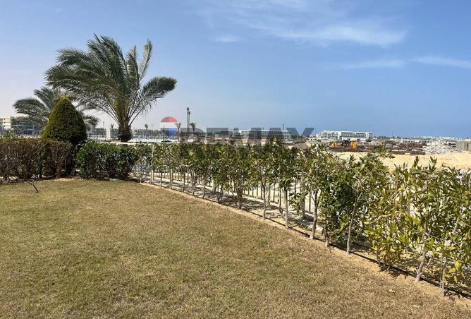 8125523 - Property Image 3