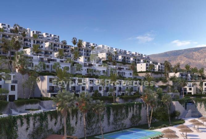 7906815 - Property Image 3