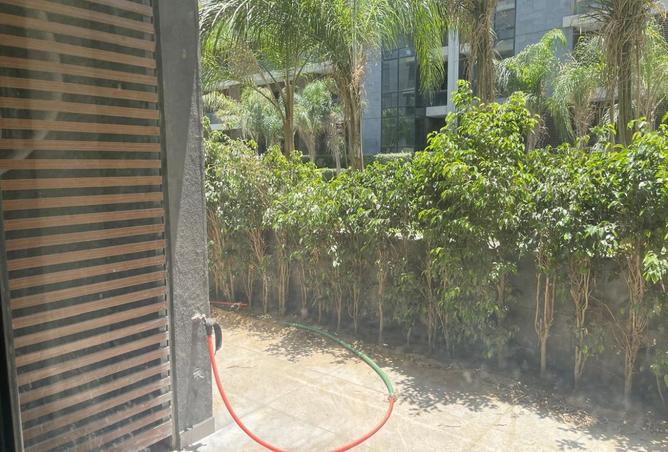 8174005 - الصورة الرئيسية للعقار