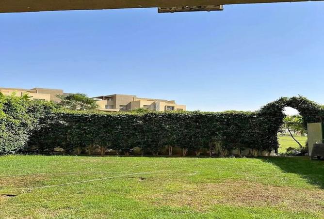8084369 - Property Image 3