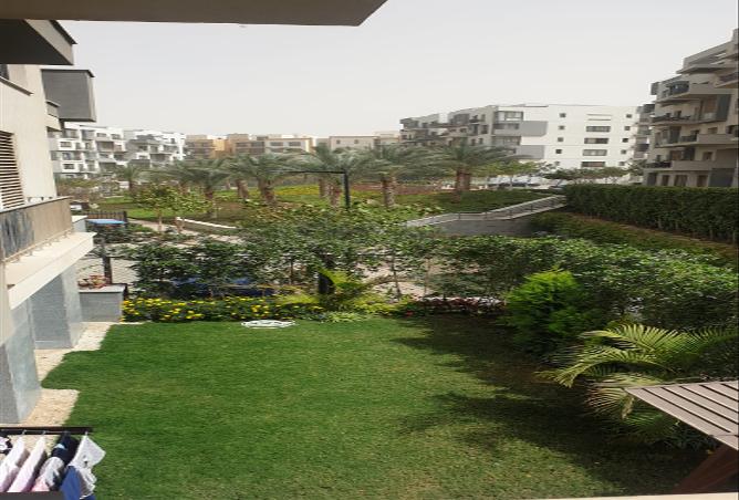7972755 - الصورة الرئيسية للعقار