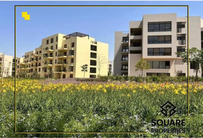 8296060 - الصورة الرئيسية للعقار