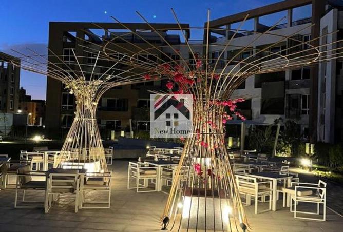 8188325 - Property Image 2