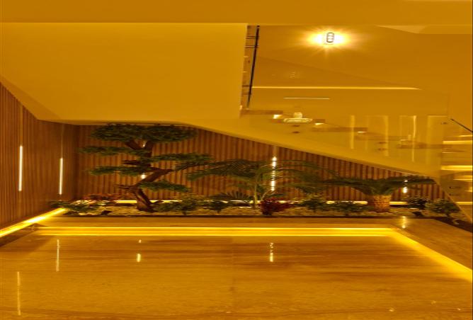 8438708 - صورة العقار 3