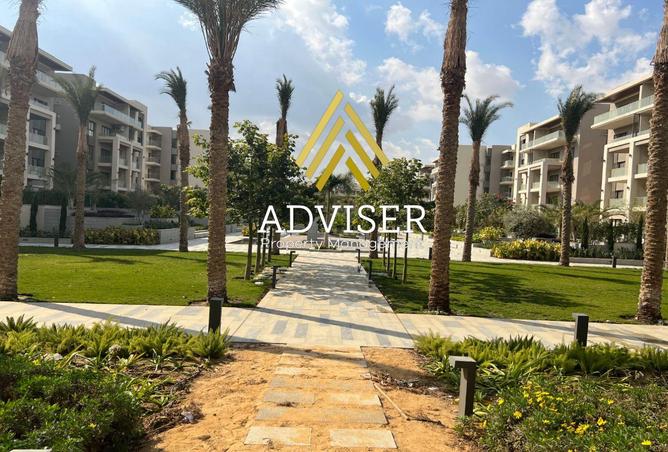 7996574 - صورة العقار 3