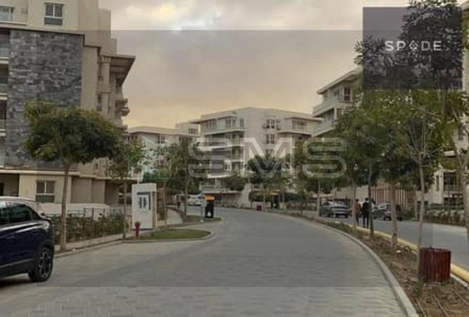 8190217 - Property Image 2