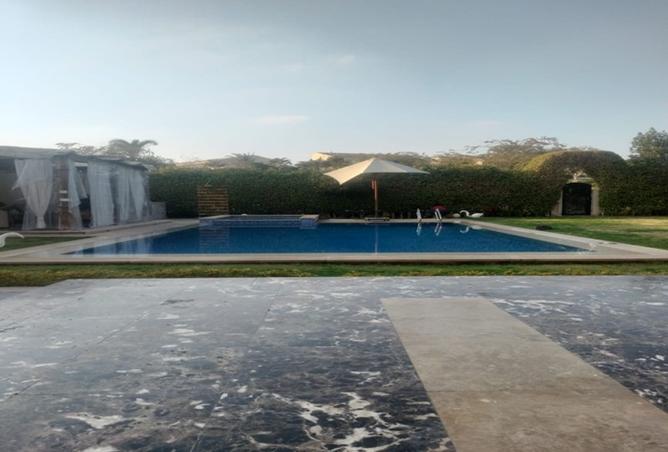 8378891 - Property Image 3