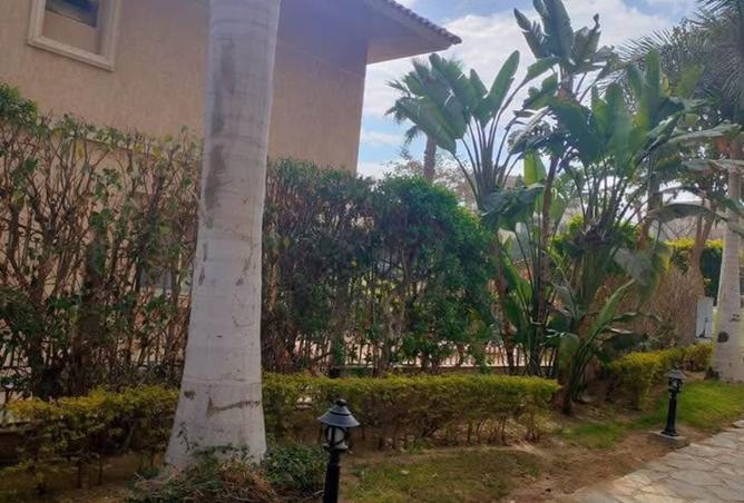 8339985 - صورة العقار 3