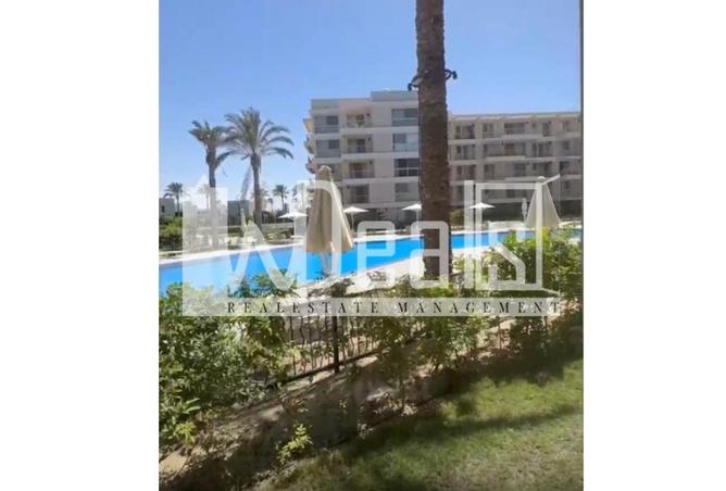 8484503 - Property Image 2