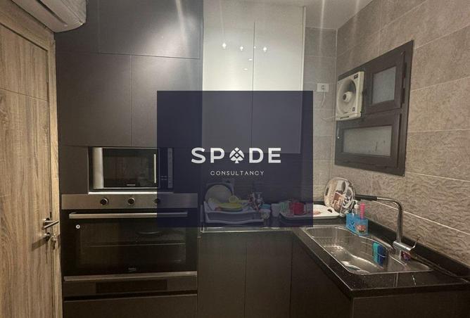 8116297 - Property Image 3