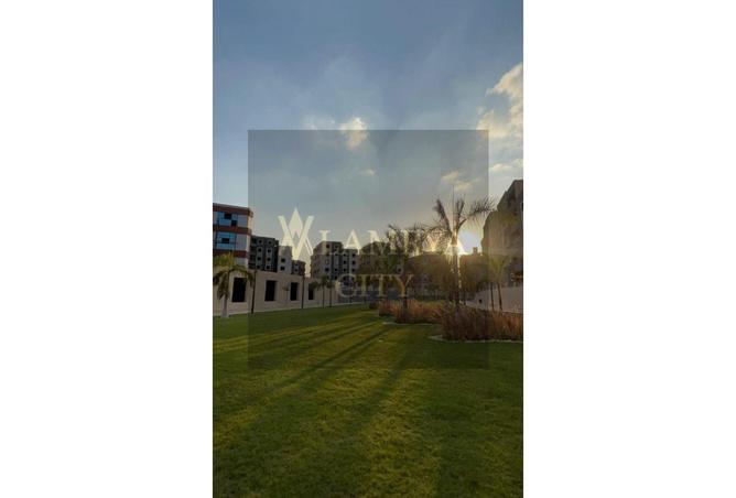 8097475 - Property Image 3