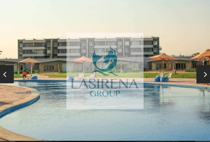 8113203 - Property Image 2