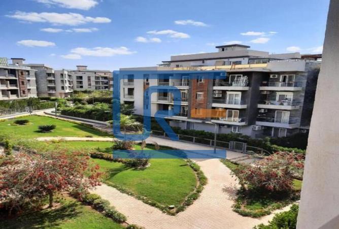 8094836 - Property Image 3