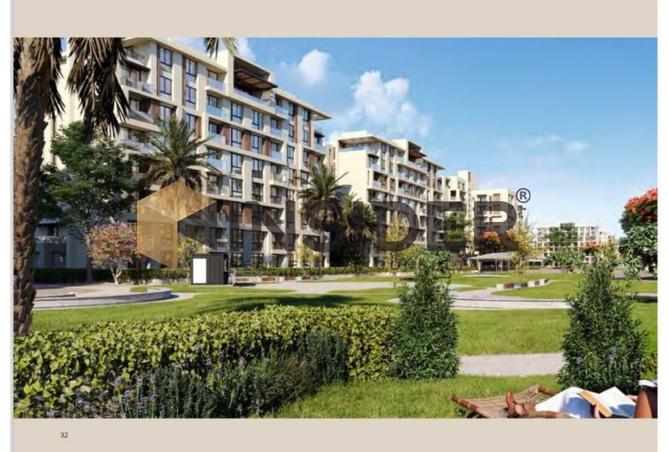 8017839 - Property Image 3