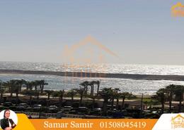 Apartment - 2 bedrooms - 1 bathroom for للايجار in Talaat St. - San Stefano - Hay Sharq - Alexandria