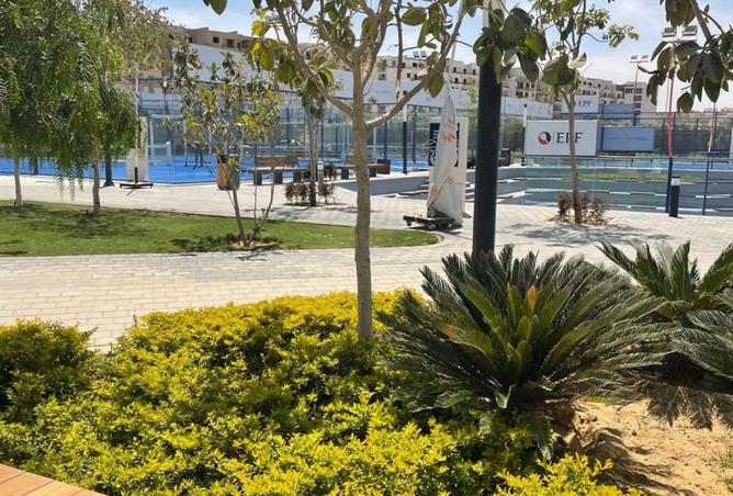 8491875 - Property Image 3