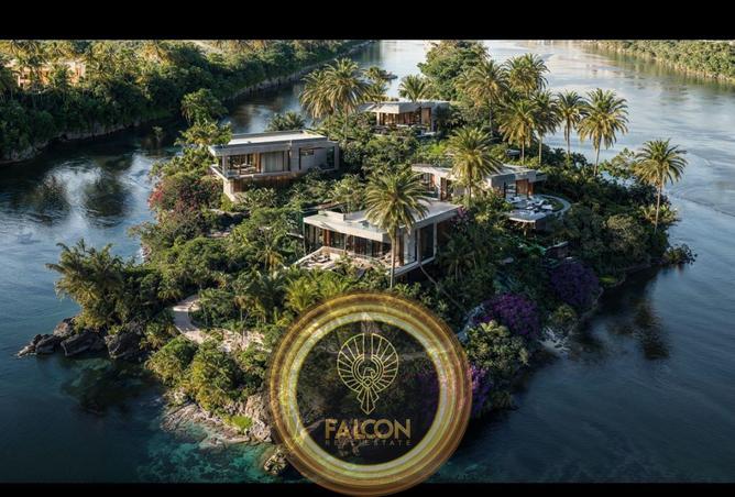 8292554 - Property Image 3