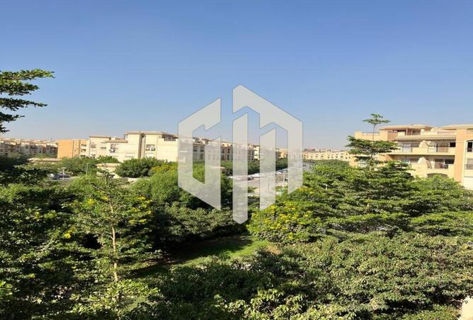 8029002 - صورة العقار 3