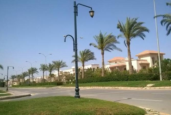 8113447 - Property Image 3