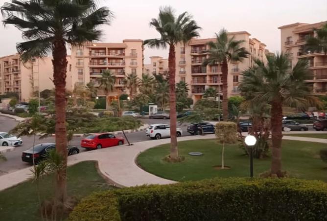 8088515 - الصورة الرئيسية للعقار