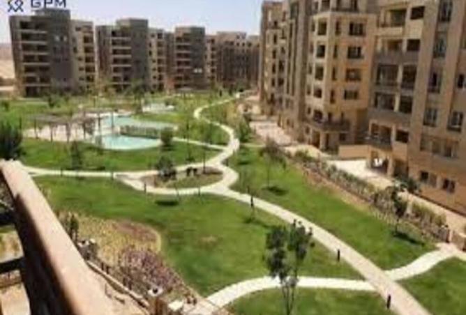 8169109 - صورة العقار 3