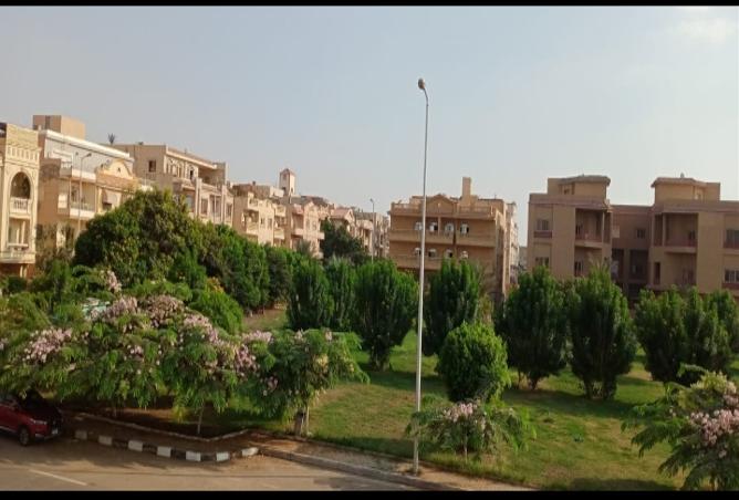7987520 - Property Image 3