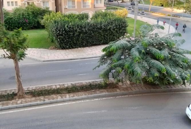 8363184 - الصورة الرئيسية للعقار