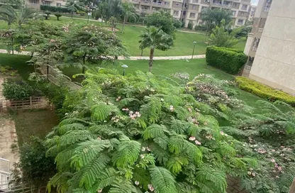 Apartment - 3 Bedrooms - 2 Bathrooms for sale in Privado - Madinaty - Cairo