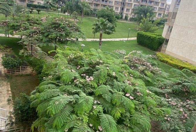 8132718 - صورة العقار 3