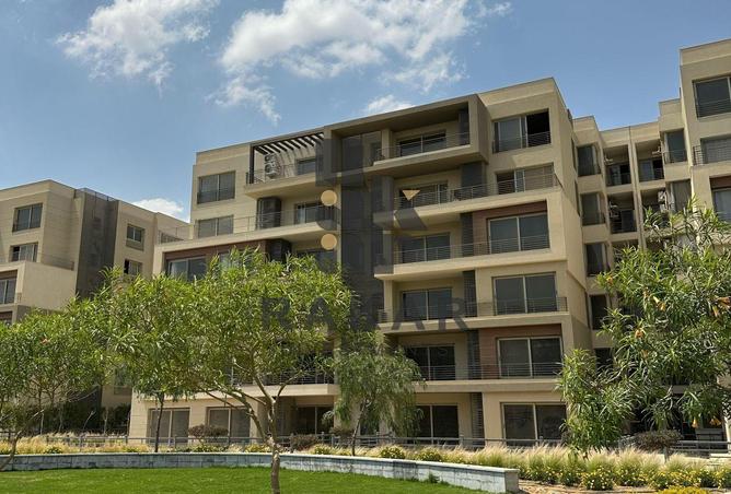 8235104 - Property Image 2