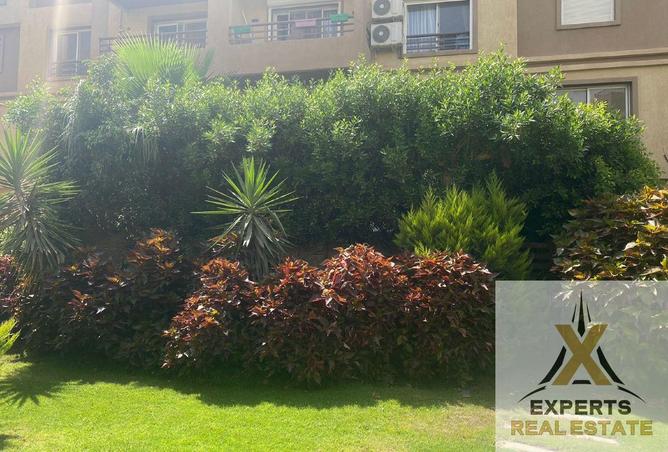 8396409 - Property Image 3