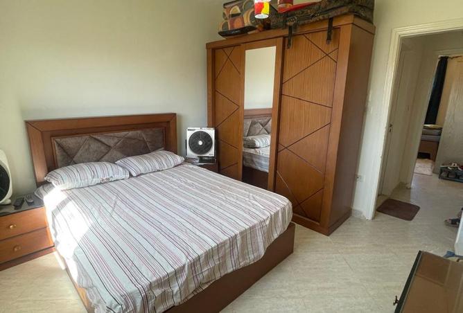 8231125 - Property Image 3